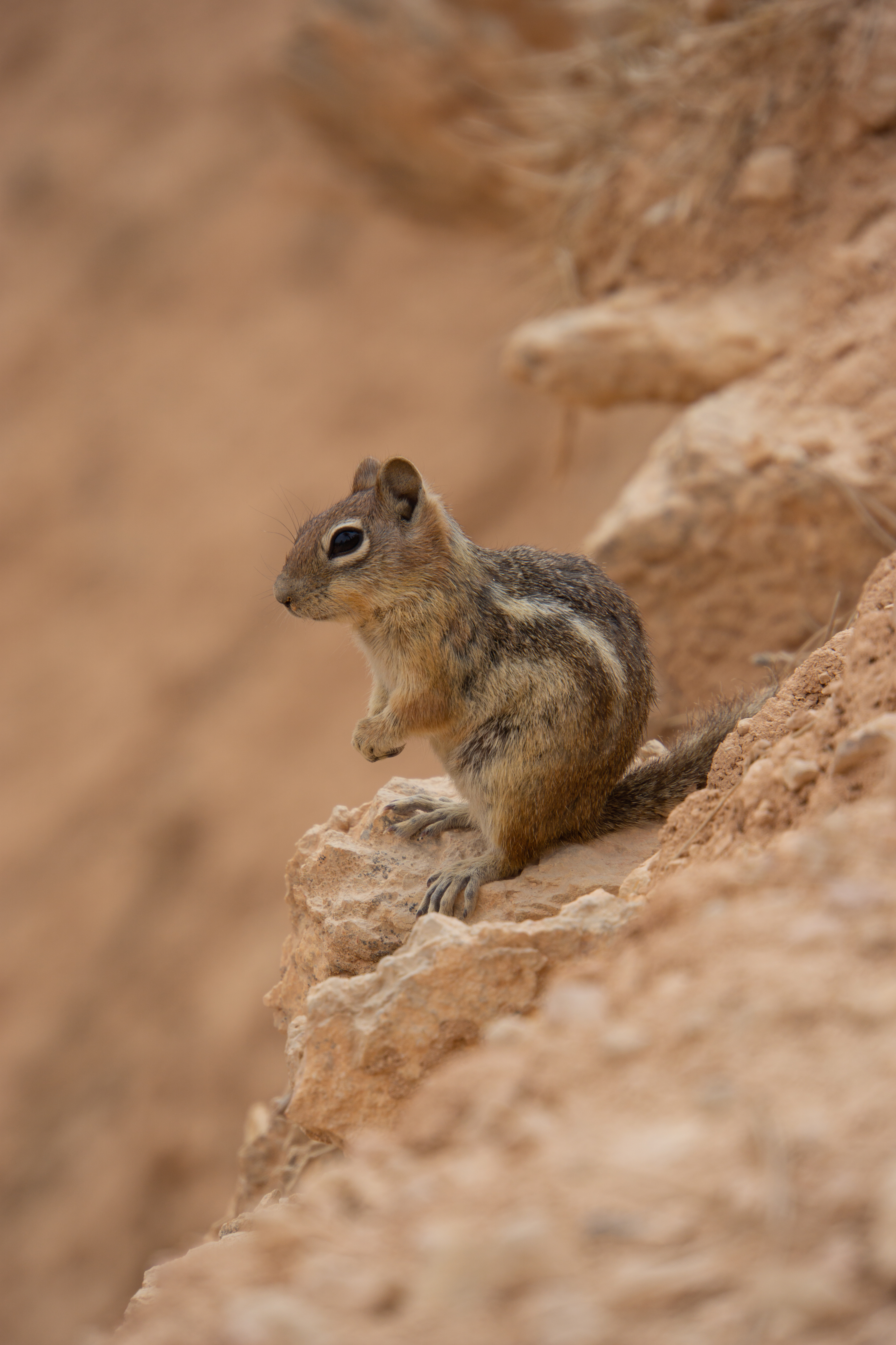 US National Parks 2022 5